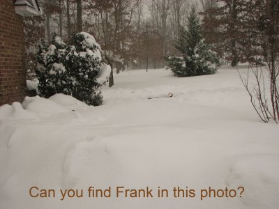 FindFrank.jpg