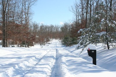 Willow Drive