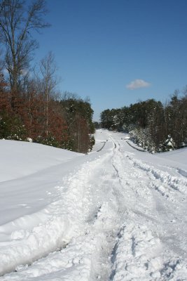 Fieldstone Dr, the main road
