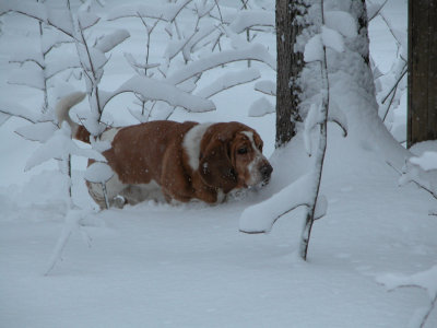 DSCN0362.jpg