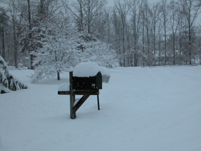 DSCN0369.jpg