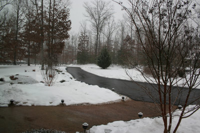 Snow February 5, 2010