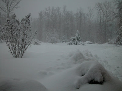 Feb_6_2010_9am.jpg