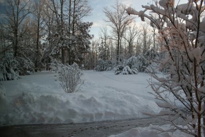 Feb_7_2010_9am.jpg
