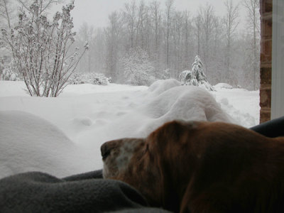 FrankWatchingSnow.jpg