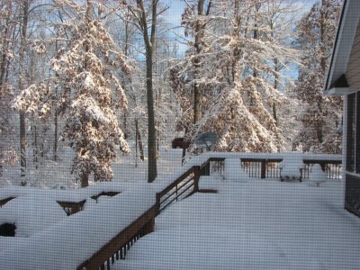 IMG_9020.jpg