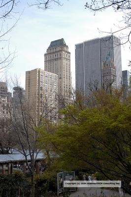 g3/81/319981/3/58721311.DSC_1307.jpg