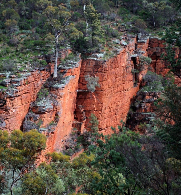 Alligator Gorge2.jpg