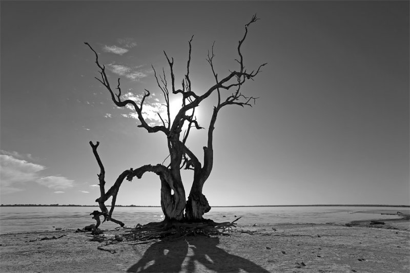 Banks of Lake Bonney