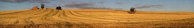 Mid North pano