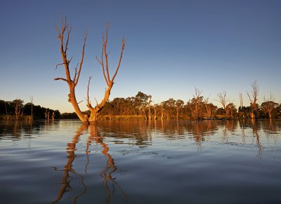 Murray River Lagoon