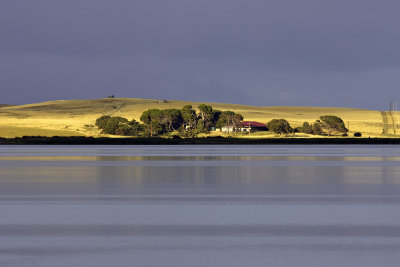 Lake Albert