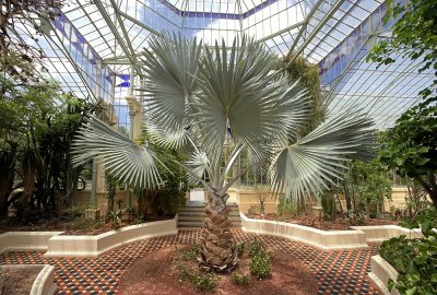 Botanical Gardens Palmhouse