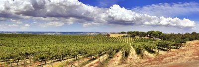 McLaren Vale