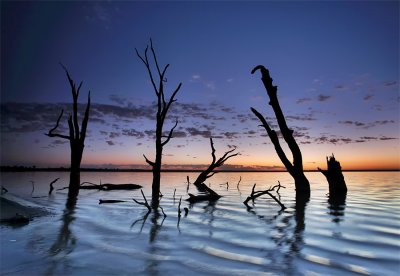 Lake Bonney Sunrise