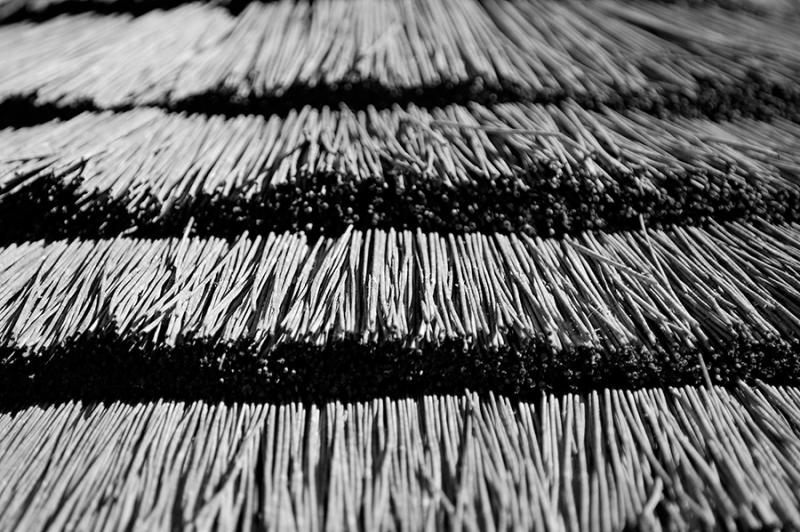 Thatch
