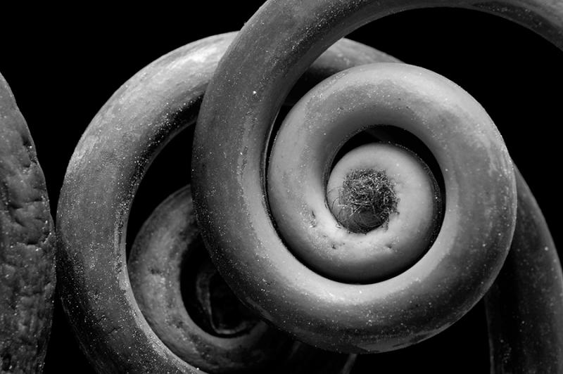 Spirals II (B&W)