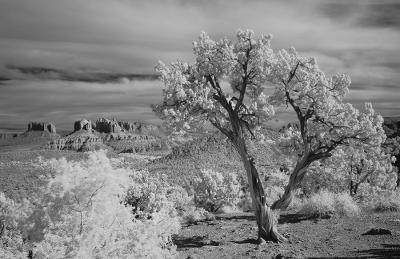 Tree Buttes and Sky