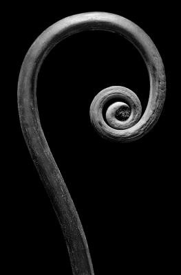 Spiral #4 (B&W)