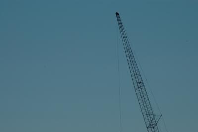 Crane