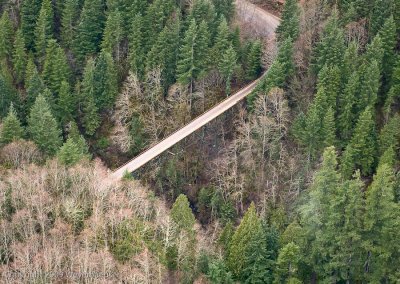 20090316_canyonck_0009.jpg