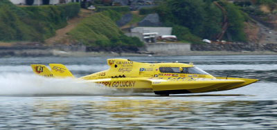 P8108575m.jpg