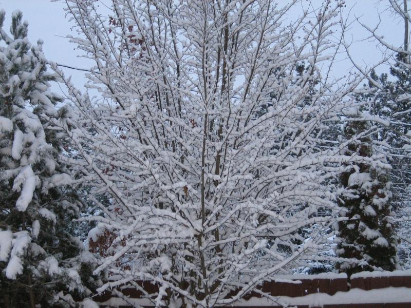 IMG_0028.JPG