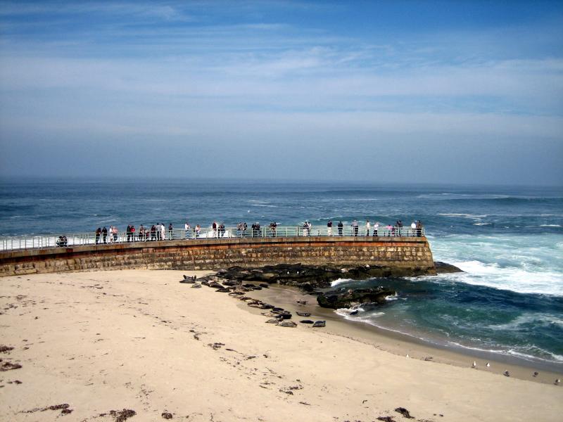 La Jolla (see the seals?)