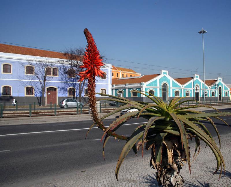 The view opposite the Tower of Belem 2218.jpg