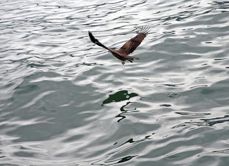 Passing the ferry