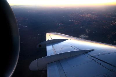 Morning light on the wing