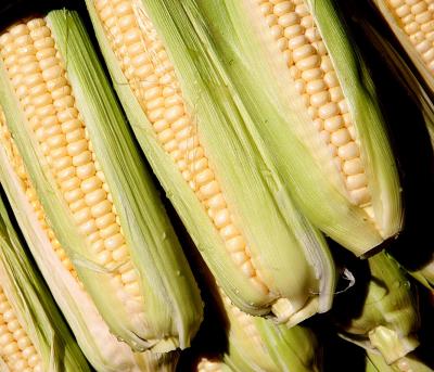 A-maiz-ing or just corn-y