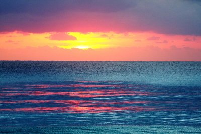S_IMG_1677.jpg