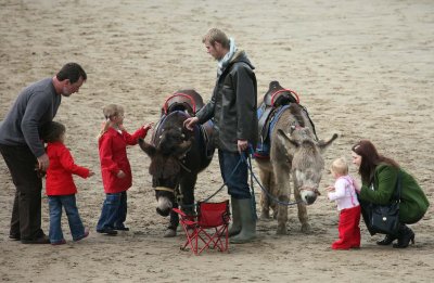 S_IMG_6856.jpg