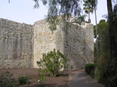 P1010028.jpg