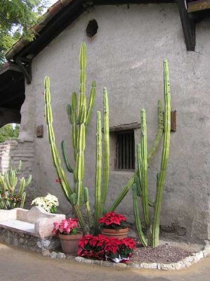 P1010156.jpg