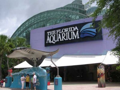 Florida Aquarium (Tampa)