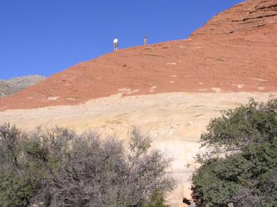 Aztec Sandstone