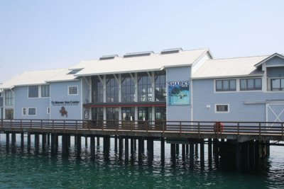 Ty Warner Sea Center