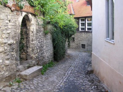 P1010583.jpg