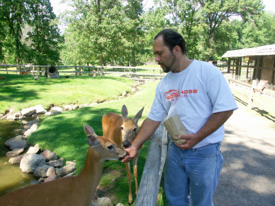 Feeding the locals