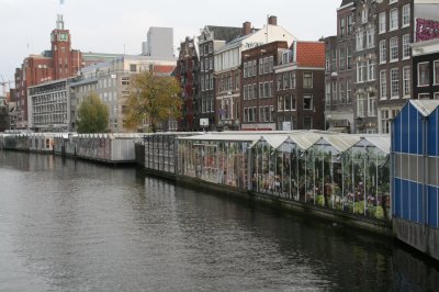 Amsterdam 2008- Singel Flower Market