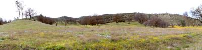 g3/81/513681/3/57887422.shell_creek_road_s_sRGB.jpg