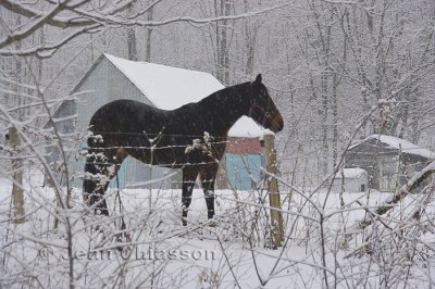 (Cantons-de-l'Est (Estrie) - Qubec