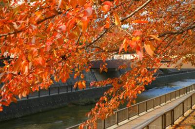 Autumn in Japan