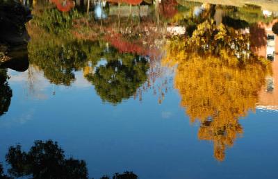 Autumn in Japan