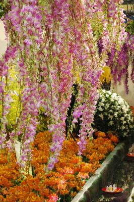 The Japan Grand Prix International Orchid Festival