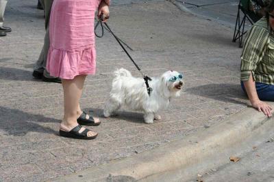 sun protection