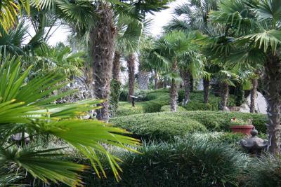 Park at Mariott in Horseshoebay