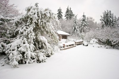 DSC_6251.jpg